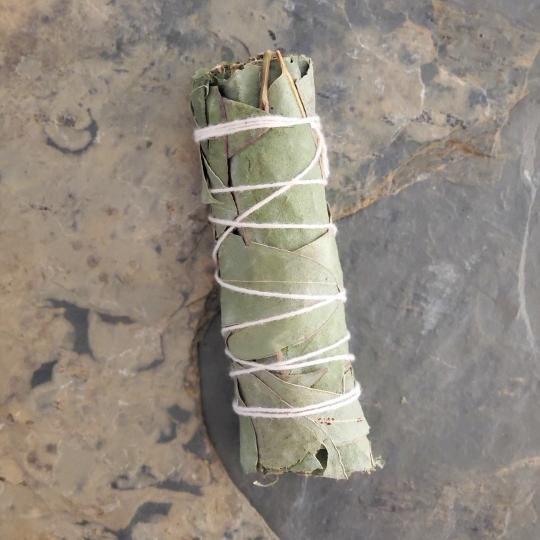 Eucalyptus Sage Bundle - Naturally Devine Wellness Richmond VA